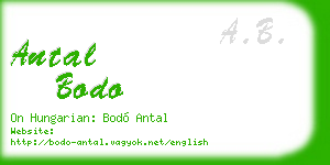 antal bodo business card